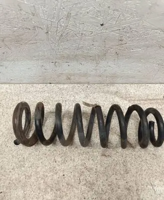 Rear coil spring