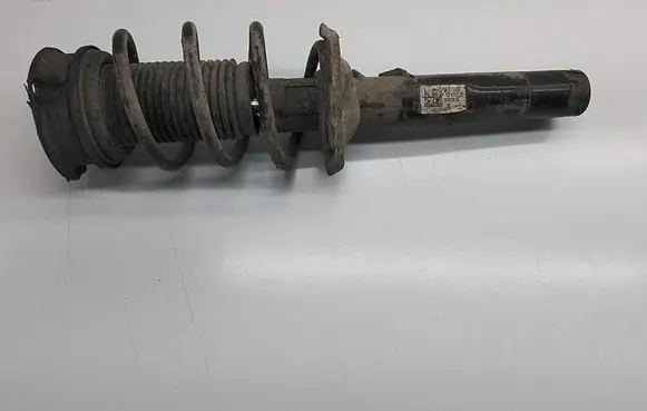 Volkswagen Tiguan Front shock absorber/damper 5QF413031AT