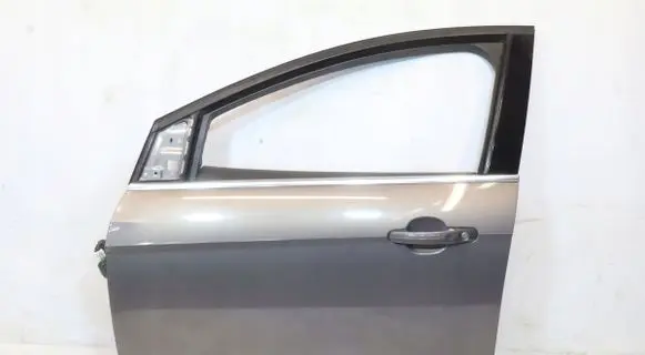 Ford Focus Front door 