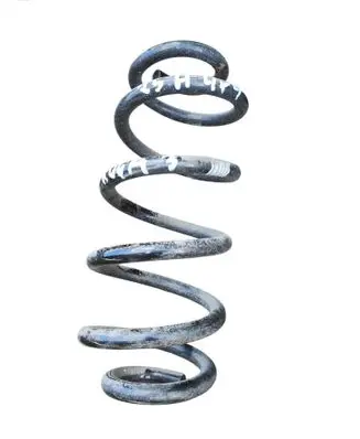 Rear coil spring