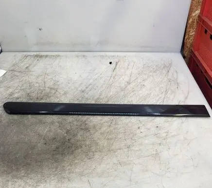Opel Zafira B Rear door trim (molding) 13137775