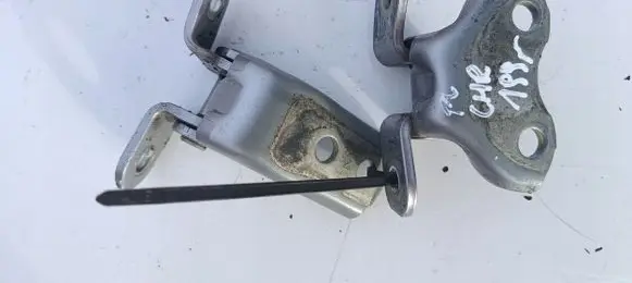 Toyota C-HR I Front door hinge set 