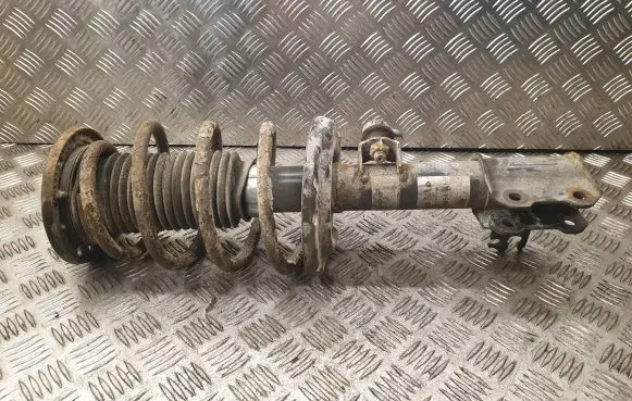 Opel Signum Front shock absorber with coil spring 312601