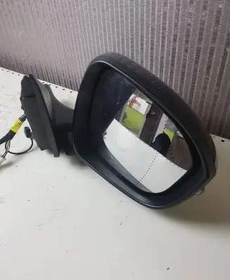 Renault Austral Front door electric wing mirror 25303002