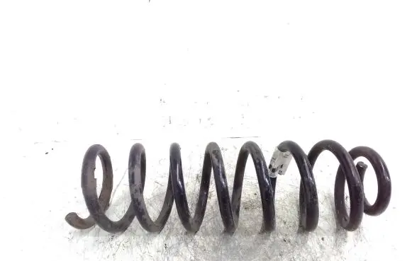 Rear coil spring
