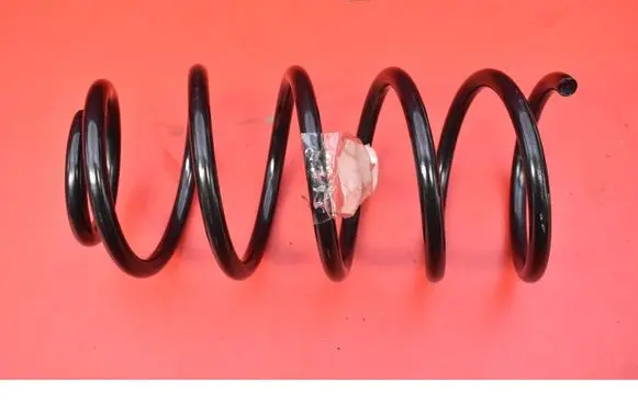 Rear coil spring