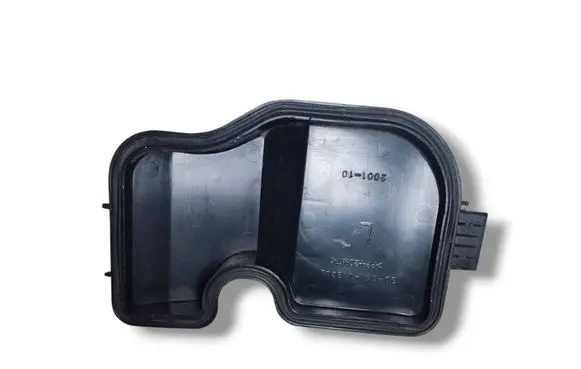 Headlight/headlamp dust cover