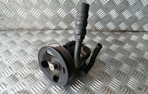 Hyundai Santa Fe Power steering pump 5710026300