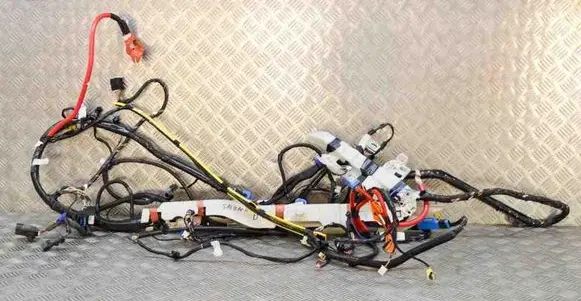 Tesla Model 3 Other wiring loom 306795503C