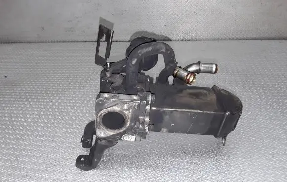 EGR valve cooler