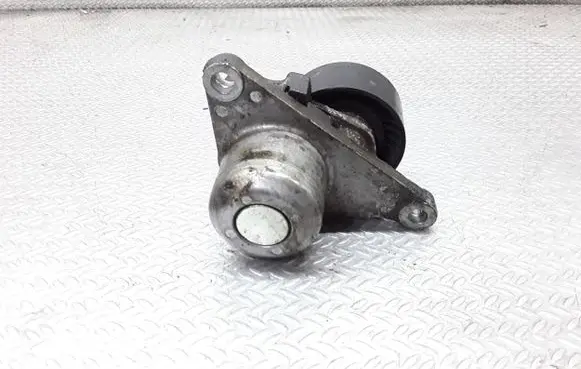 Renault Laguna III Generator/alternator belt tensioner 117507568R