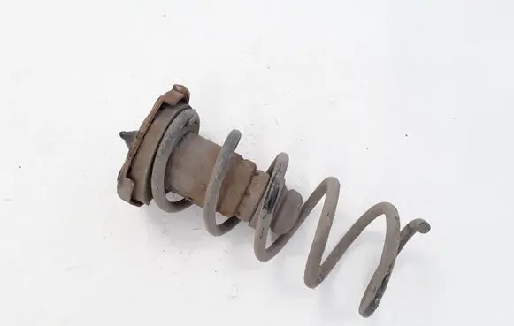 Volvo V60 Rear coil spring 31304057