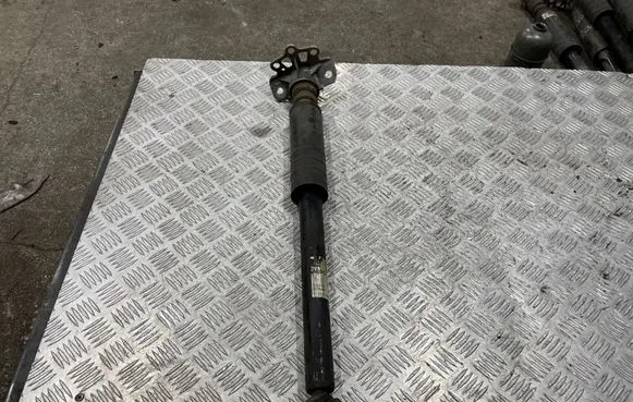 Opel Corsa E Rear shock absorber/damper 13432672
