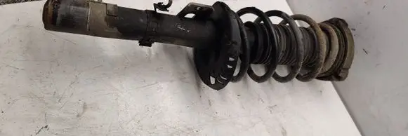 Skoda Roomster (5J) Front shock absorber with coil spring