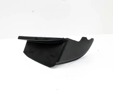 Rear/tail light trim molding