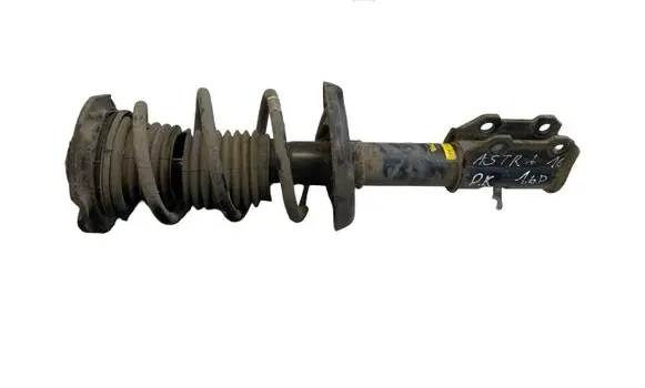 Opel Astra K Front shock absorber with coil spring G8622