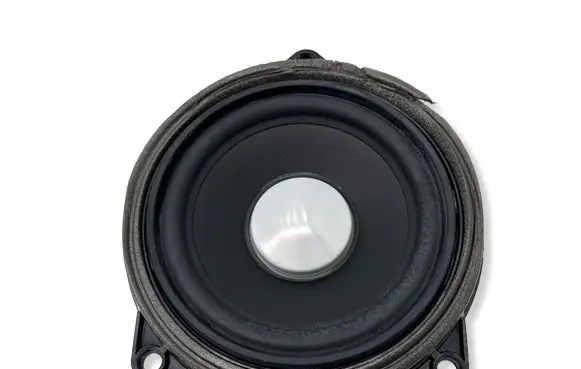 BMW 3 GT F34 Front door high frequency speaker 9289965