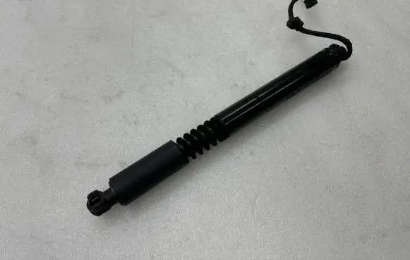 Tesla Model X Other devices 106344100F 211863388J00 599927