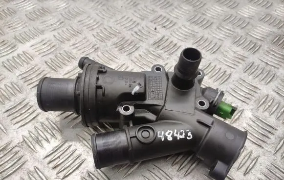 Thermostat/thermostat housing
