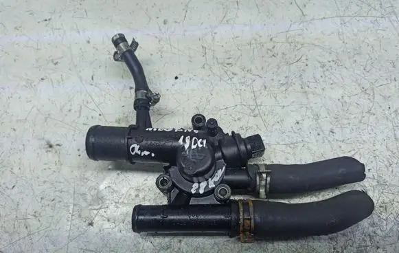 Thermostat/thermostat housing