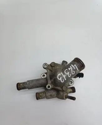 Thermostat/thermostat housing