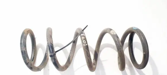Rear coil spring