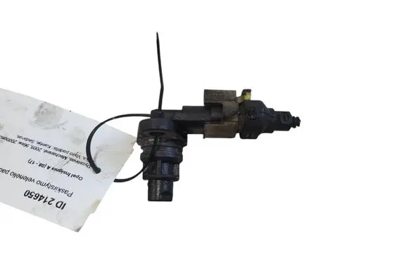 Opel Insignia A Camshaft position sensor 55201876