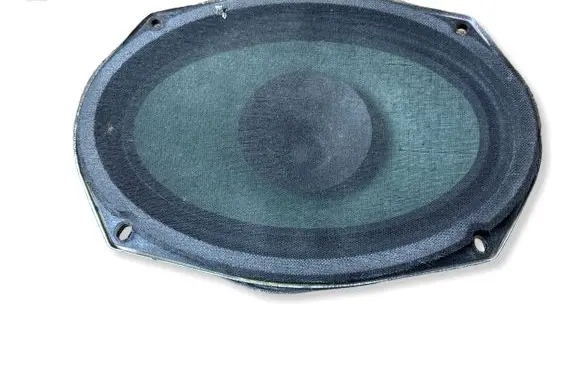 Dodge Charger Front door speaker 05091019AB EASA23D22A4