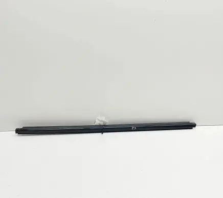 Ford Mustang Mach-E Front door glass trim molding LJ8BR20563AC