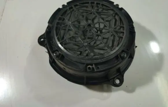 Citroen C5 Front door speaker 