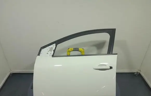 Dacia Sandero Front door