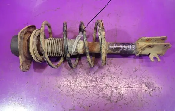 Fiat Bravo - Brava Front shock absorber with coil spring 