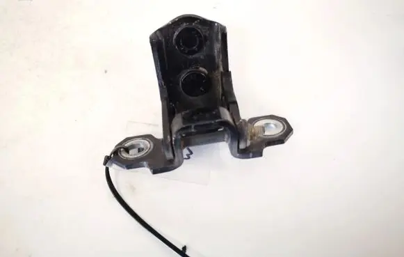 Renault Espace - Grand espace IV Rear door lower hinge