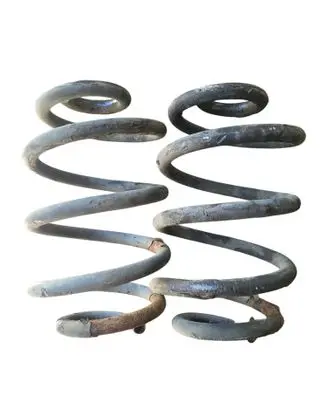 Rear coil spring