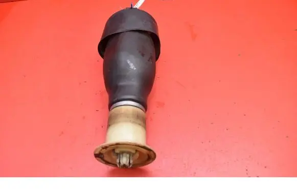 Rear shock absorber/damper