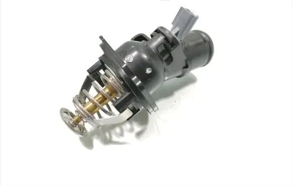 Thermostat/thermostat housing