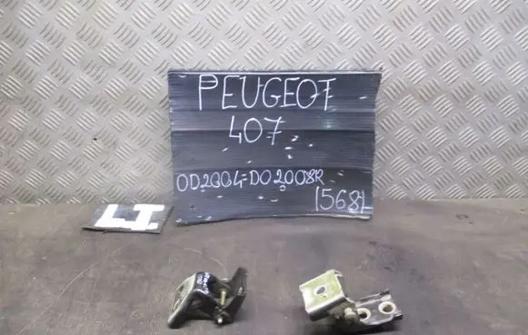 Peugeot 407 Loading door hinge set 