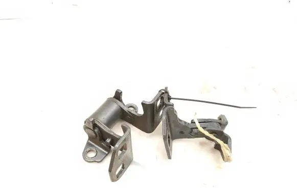 Tesla Model S Rear door hinge set I120038