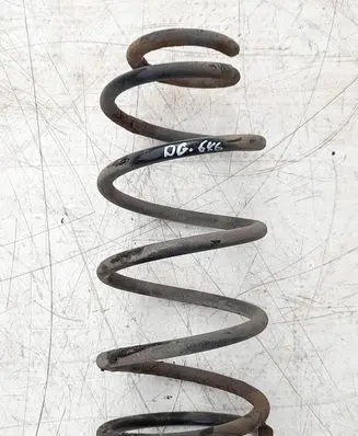 KIA Sorento Rear coil spring 551013E011