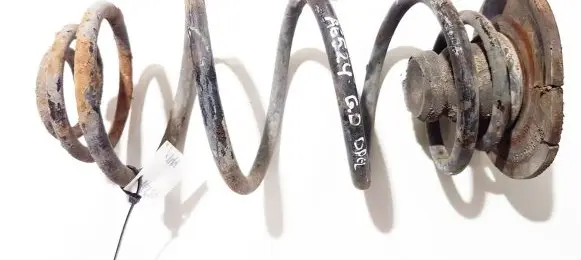 Rear coil spring