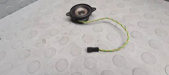 BMW X5 E53 Panel speaker 8379375