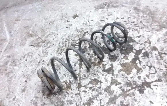 Volkswagen Bora Rear coil spring 