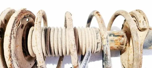 Peugeot 206 Front coil spring 