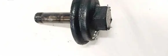 Volkswagen PASSAT B5.5 Oil filter cover 038117061