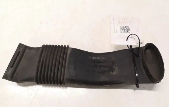 Renault Scenic III - Grand scenic III Air intake hose/pipe 244930005R T06009A183
