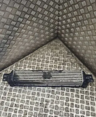 Opel Antara Intercooler radiator 96629070