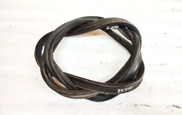 Jaguar X-Type Rubber seal front coupe door 