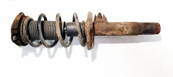 Volkswagen Golf V Front shock absorber/damper 