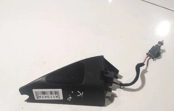 Volkswagen PASSAT B6 Side speaker trim/cover 