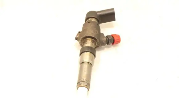 Citroen C2 Fuel injector